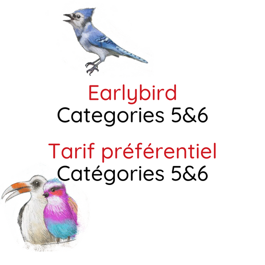 Earlybird, Categories 5&6