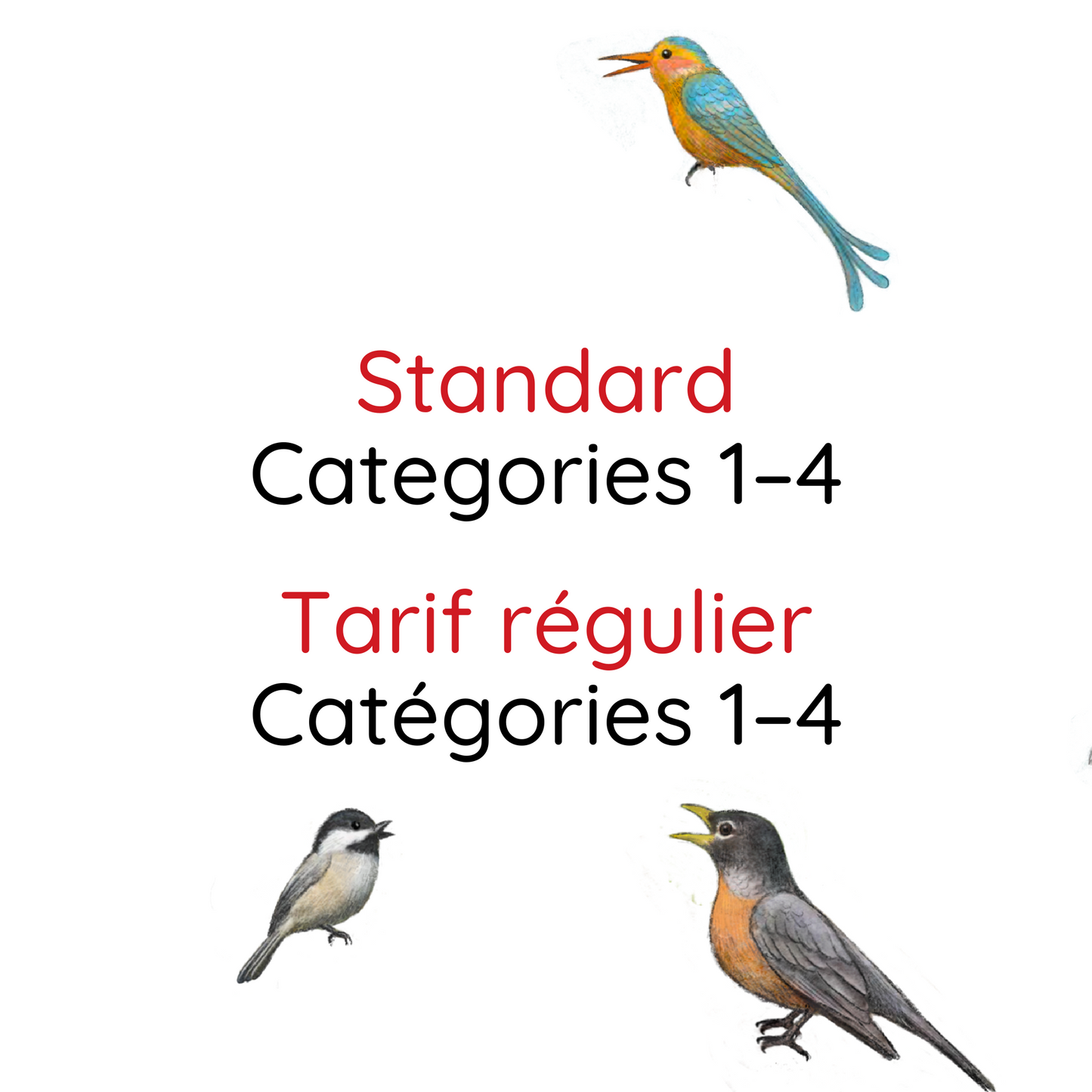 Standard, Categories 1–4