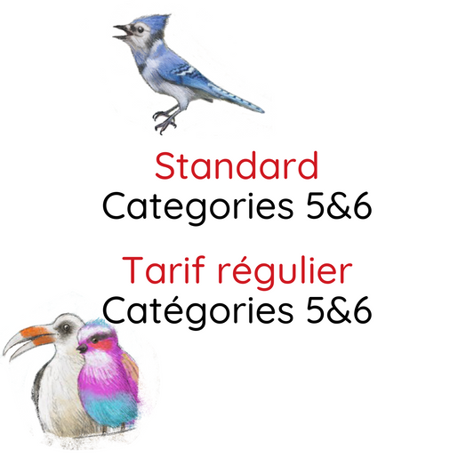 Standard, Categories 5&6